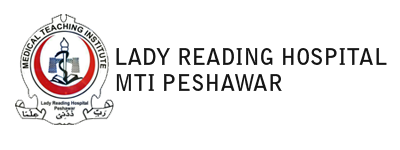 logo3.png